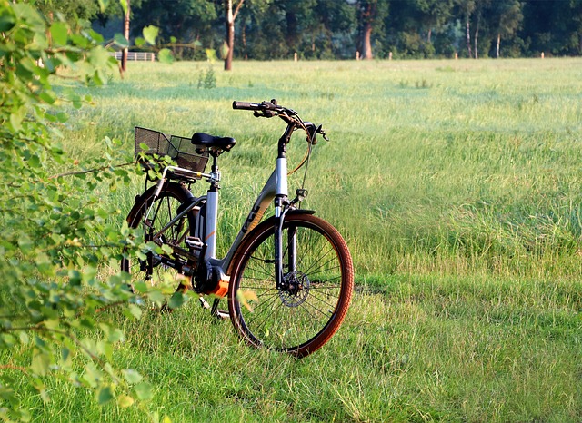 logo EZ BIKE simbolo cerchio verde