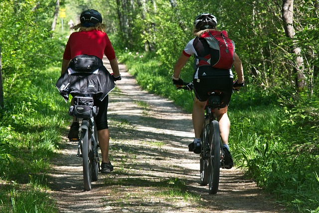 logo EZ BIKE simbolo cerchio verde