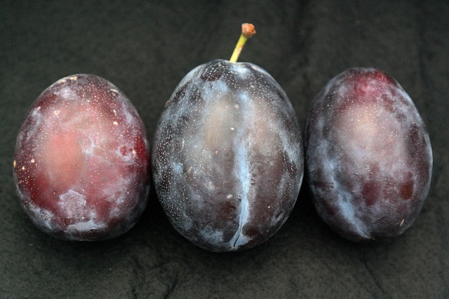 spazio di pratica domestica con cuscini e luce naturale